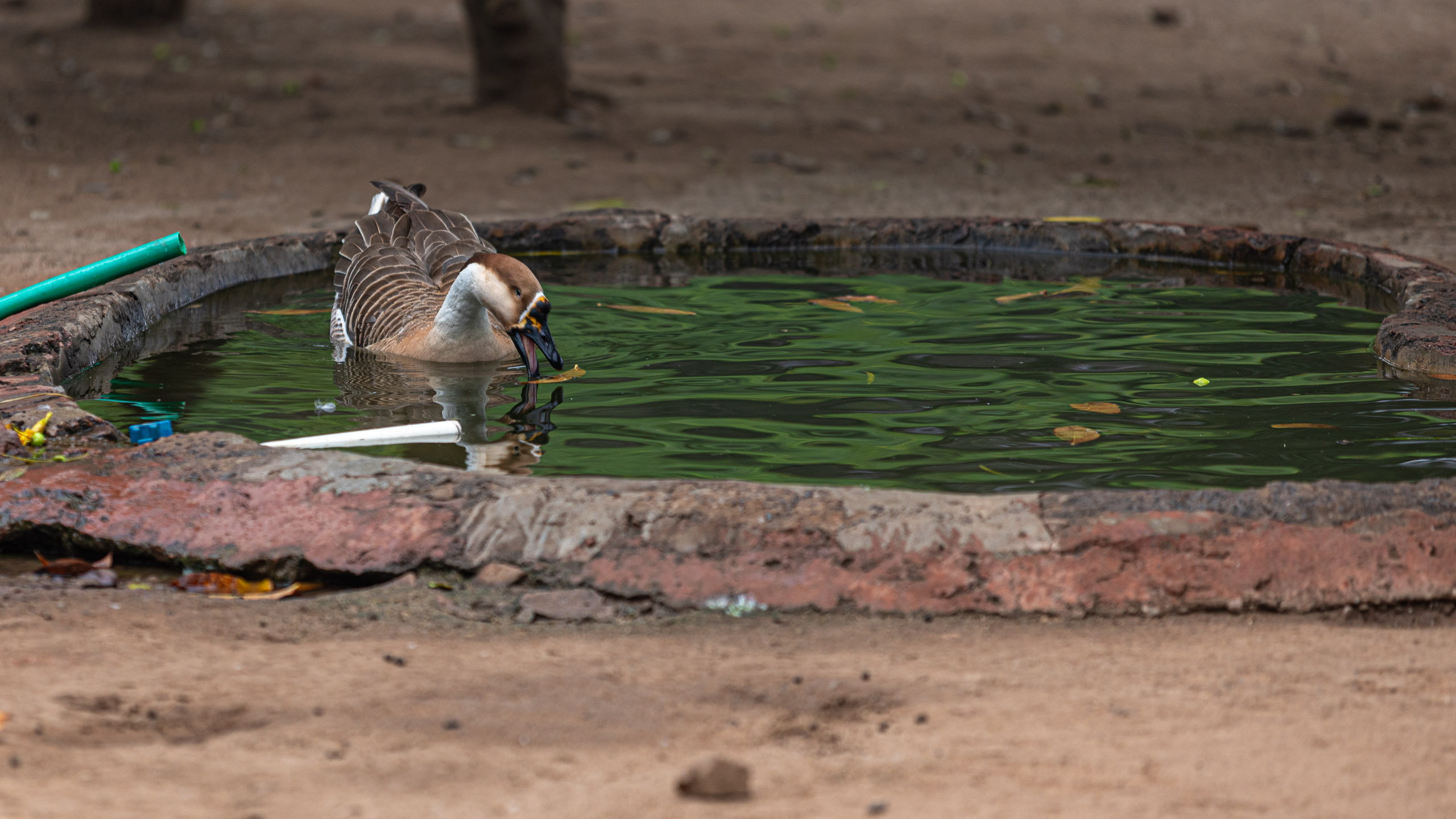 20240104142206 RD4 9103