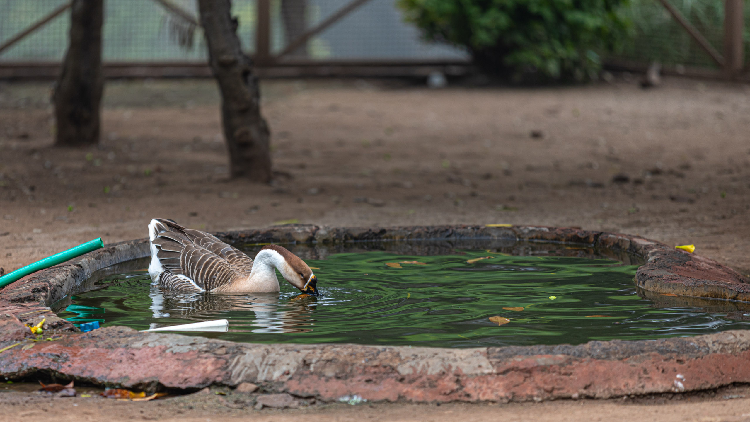 20240104142209 RD4 9104