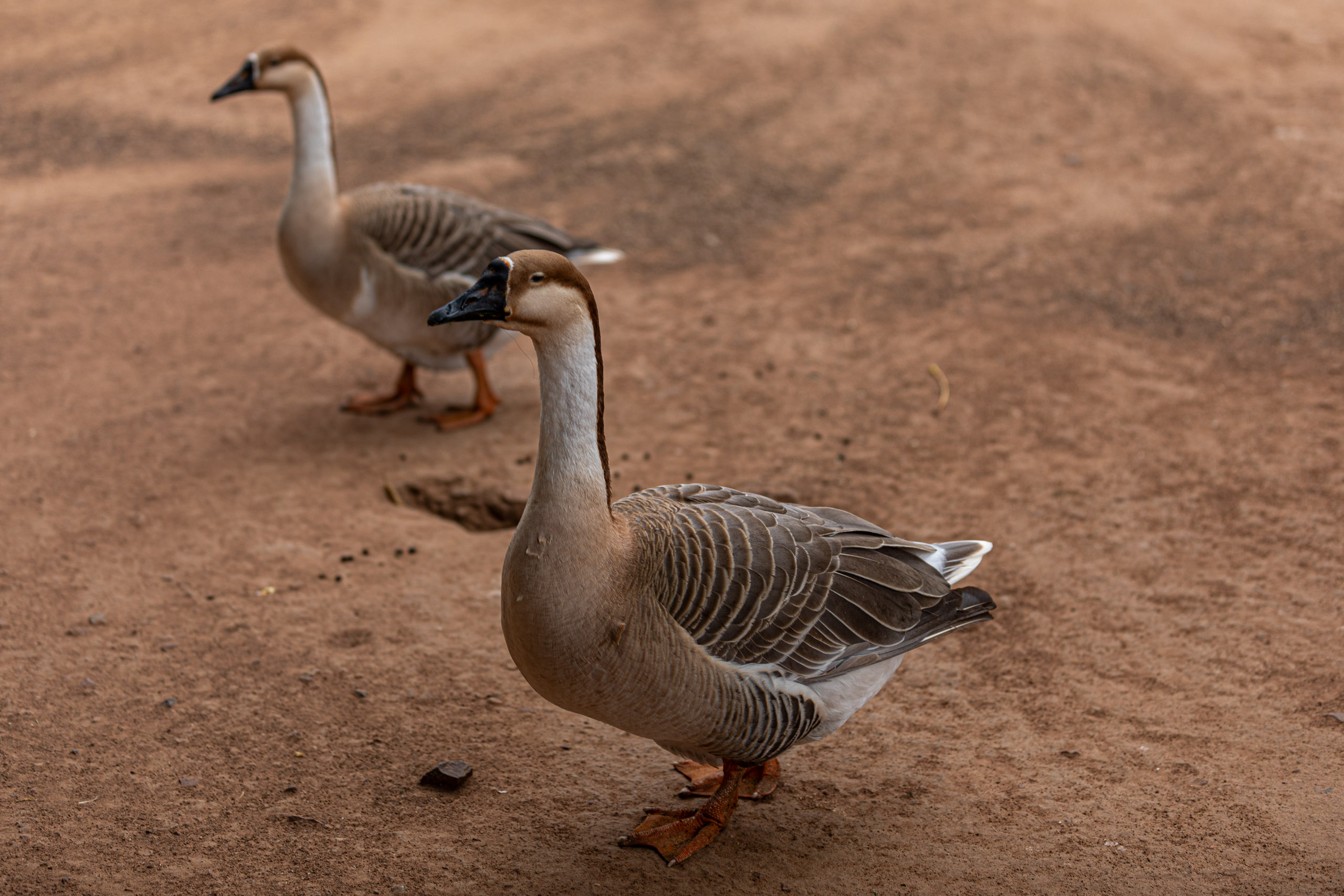 20240104142228 RD4 9107