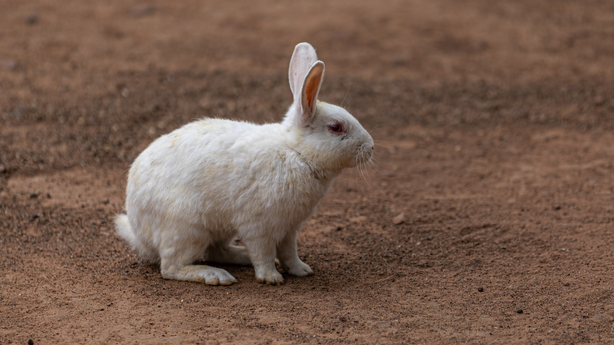 20240104142355 RD4 9128