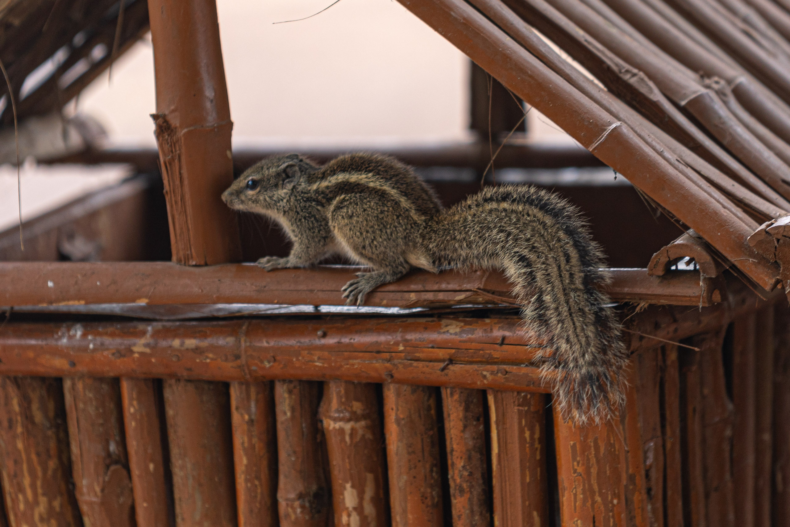 20240104142425 RD4 9134