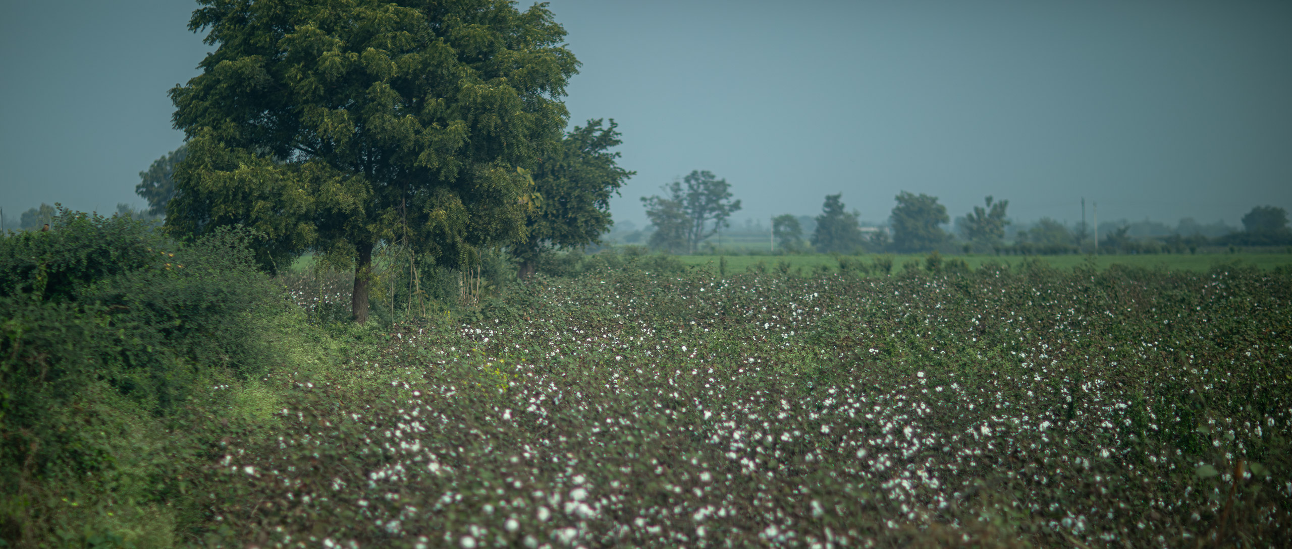 20240103095524 RD4 8811 e