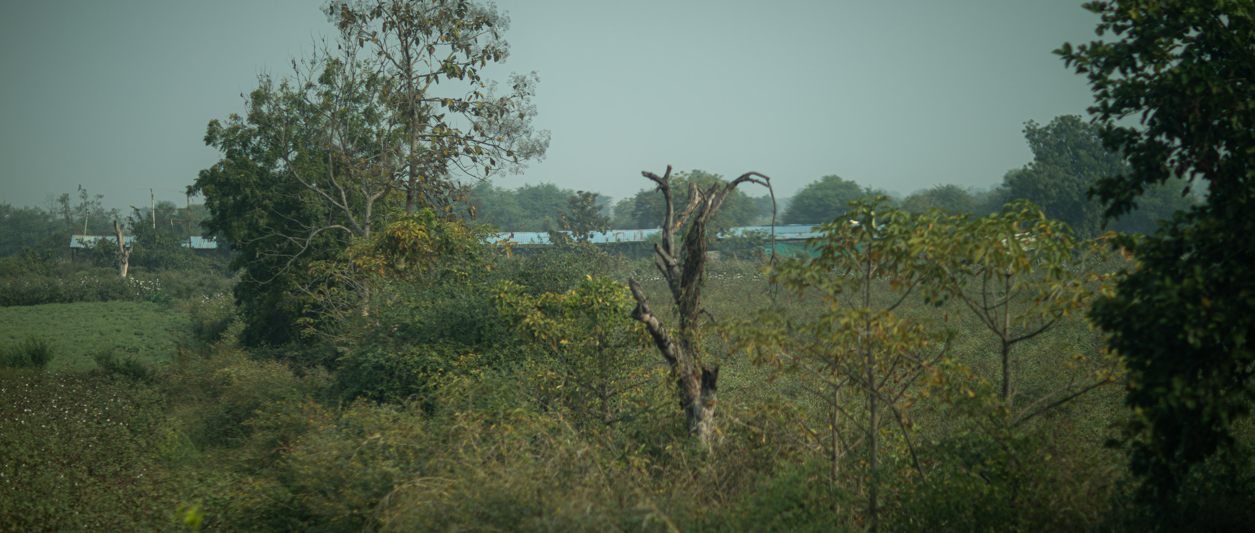 20240103095611 RD4 8812 e