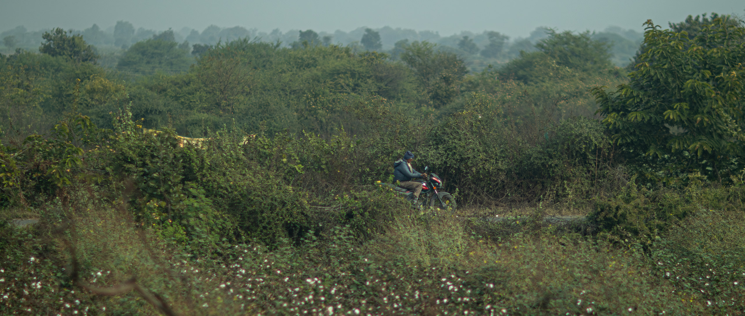 20240103095644 RD4 8821 e