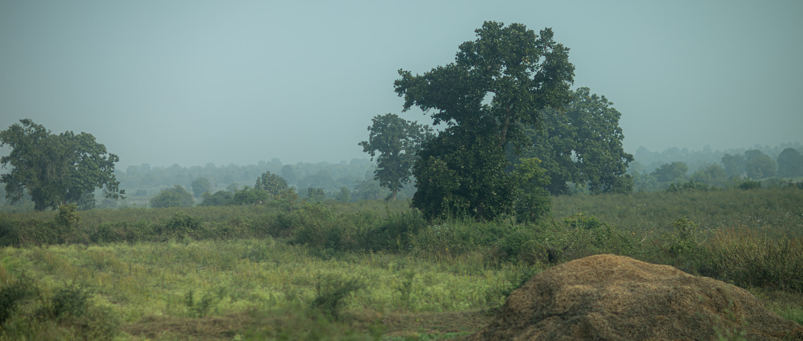 20240103095946 RD4 8861 e