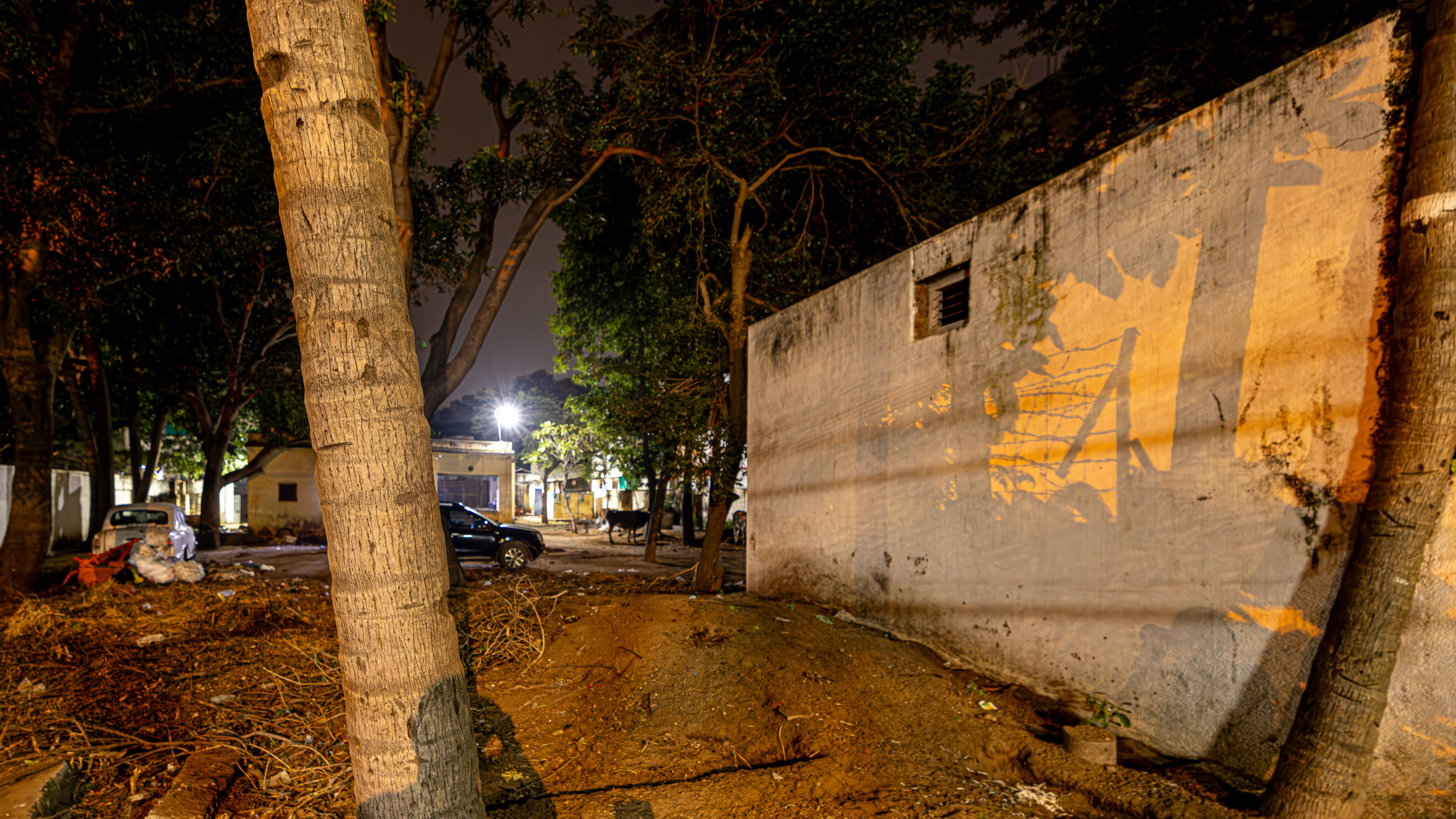 20231222190441 R5D 6213 e