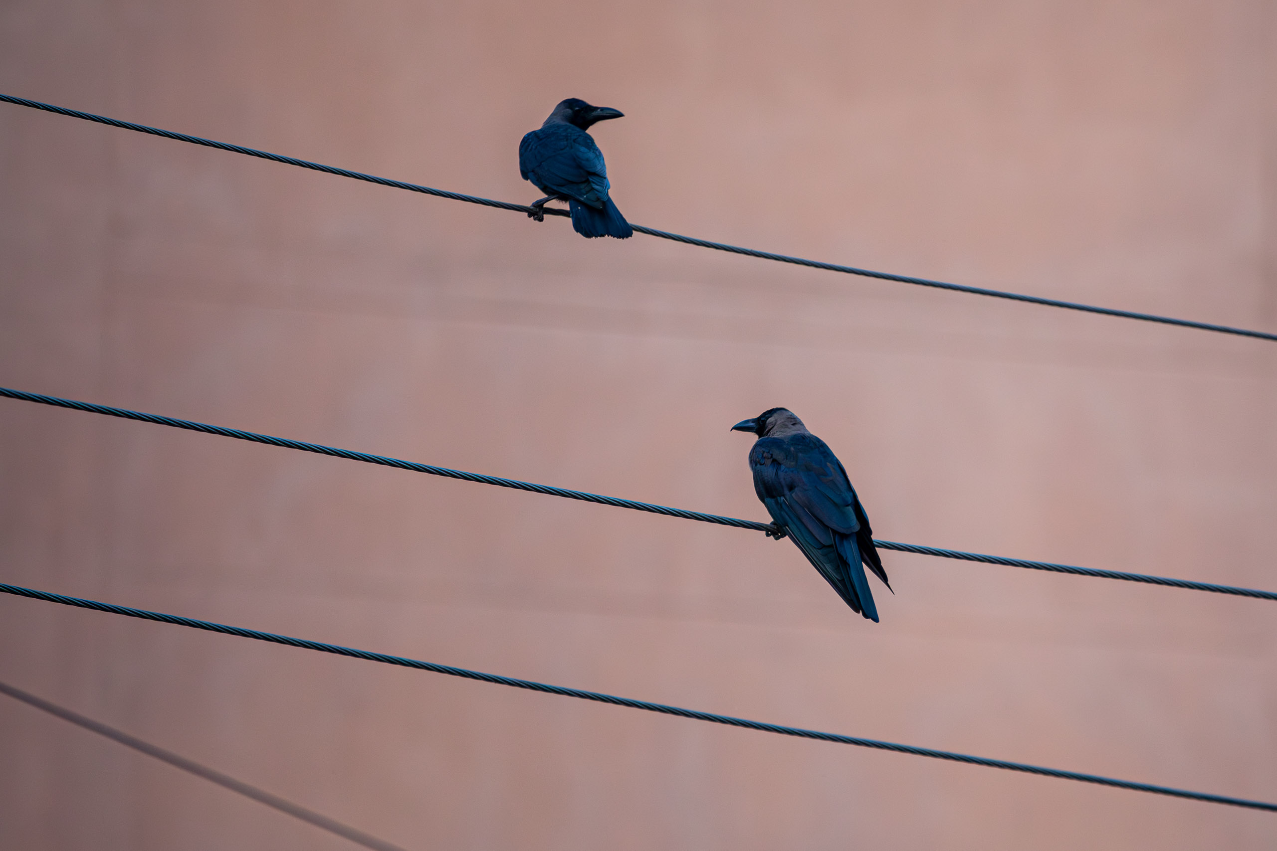 20231224065015 RD4 5150 e