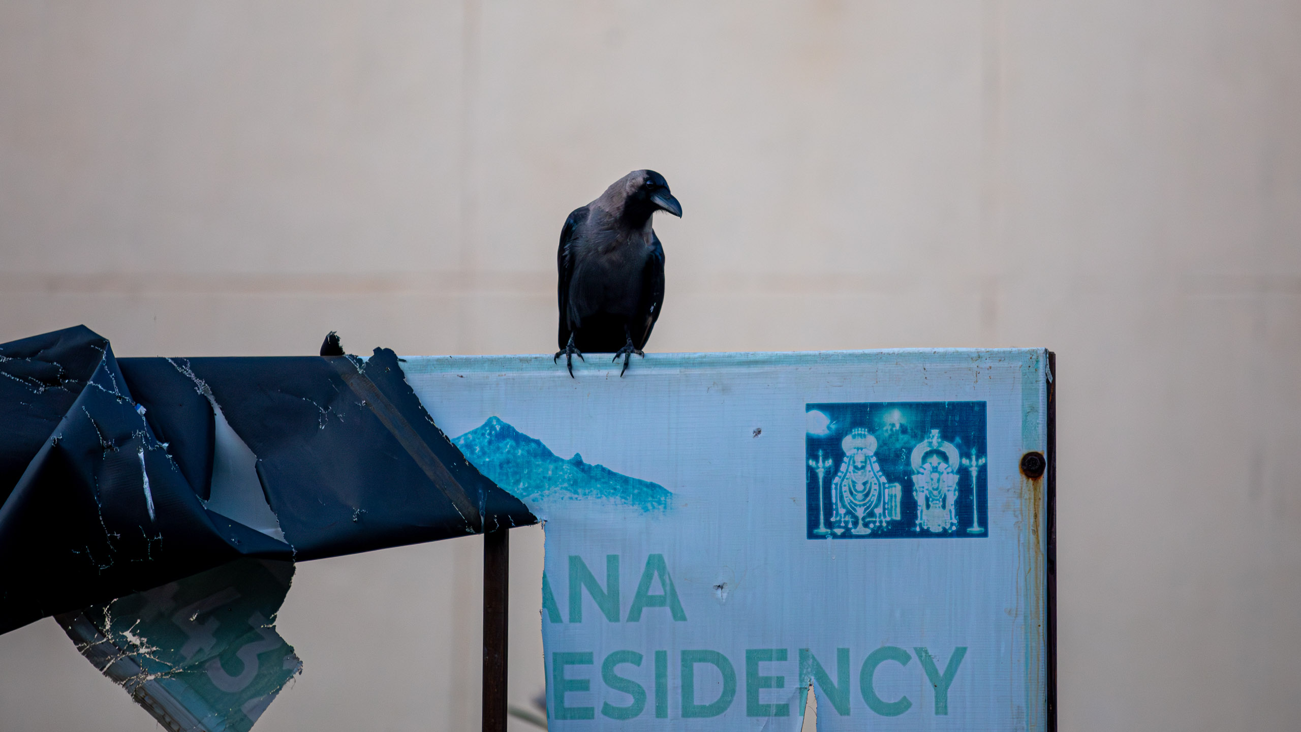 20231224065045 RD4 5163 e