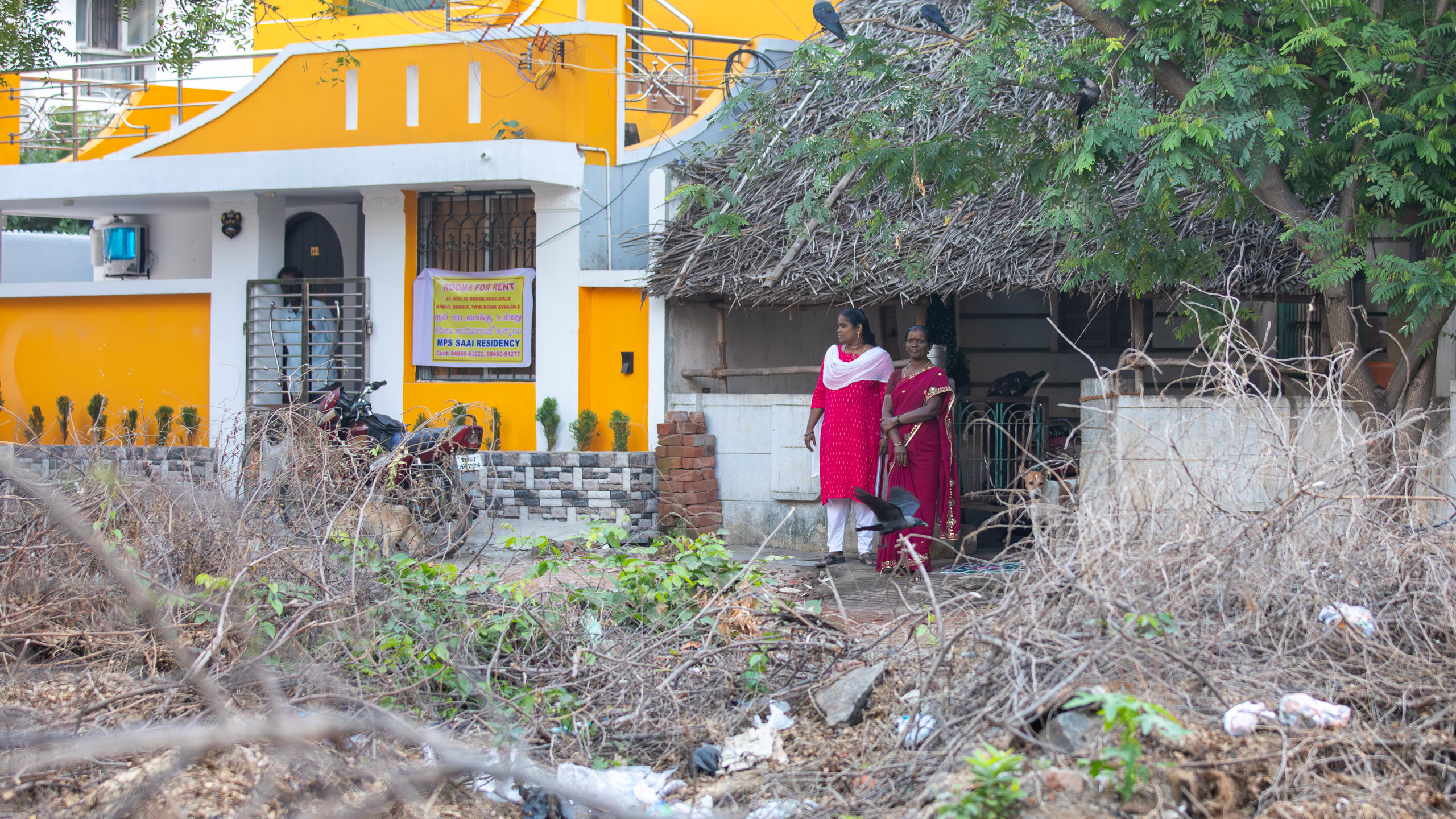 20231224065149 RD4 5187 e