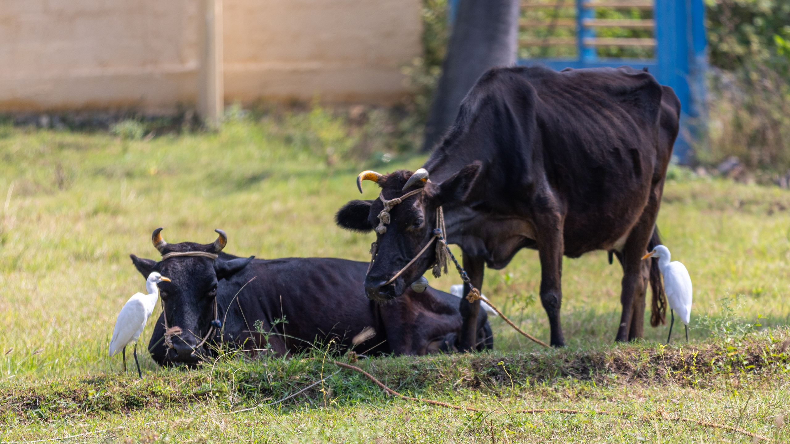 20231226113712 RD4 5750