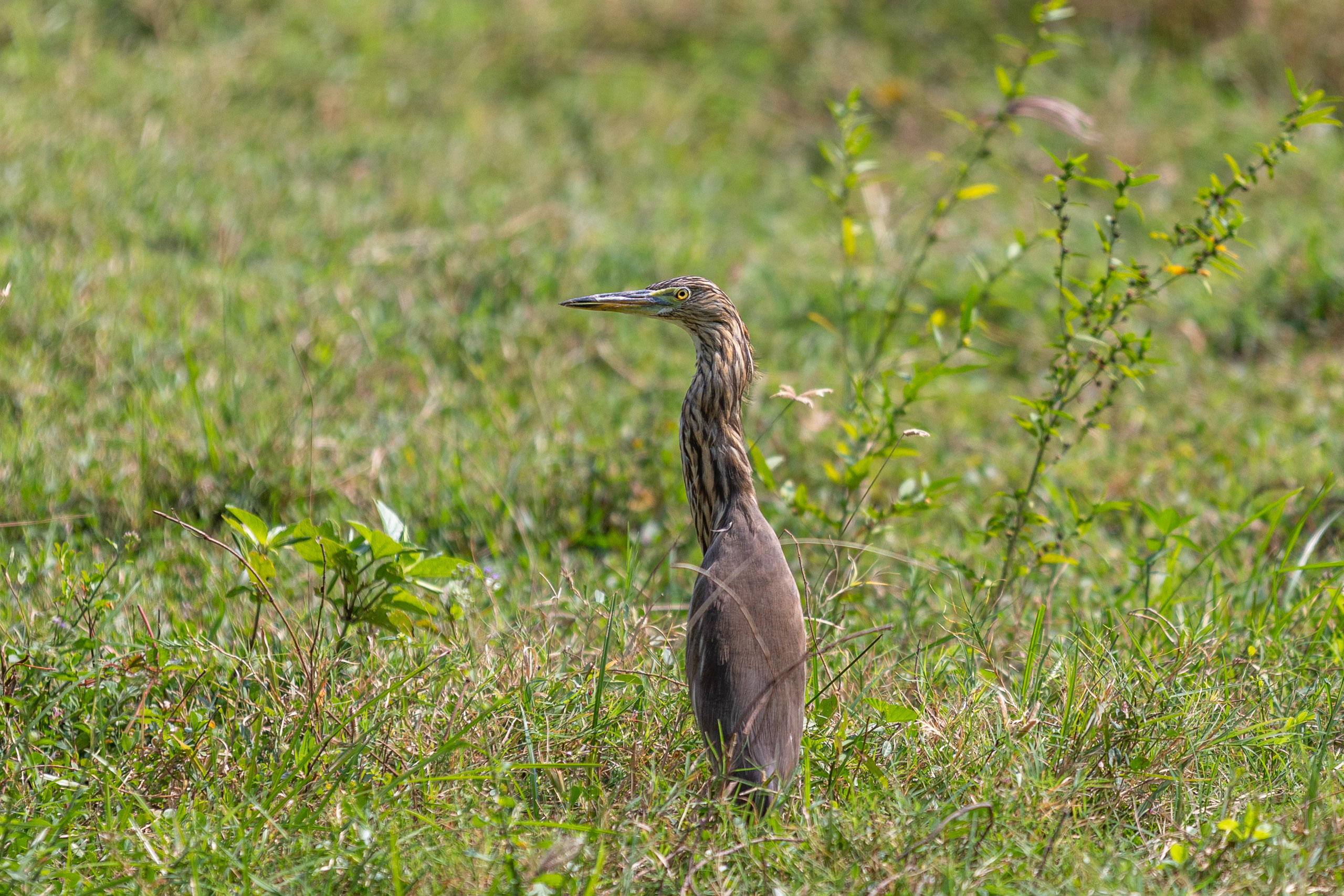 20231226113716 RD4 5752