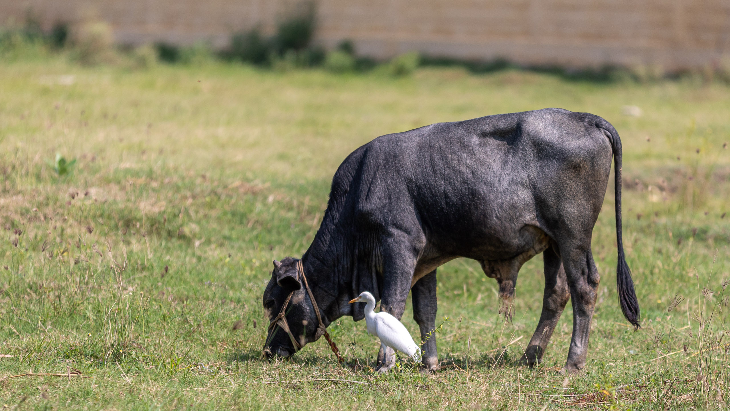 20231226113731 RD4 5756