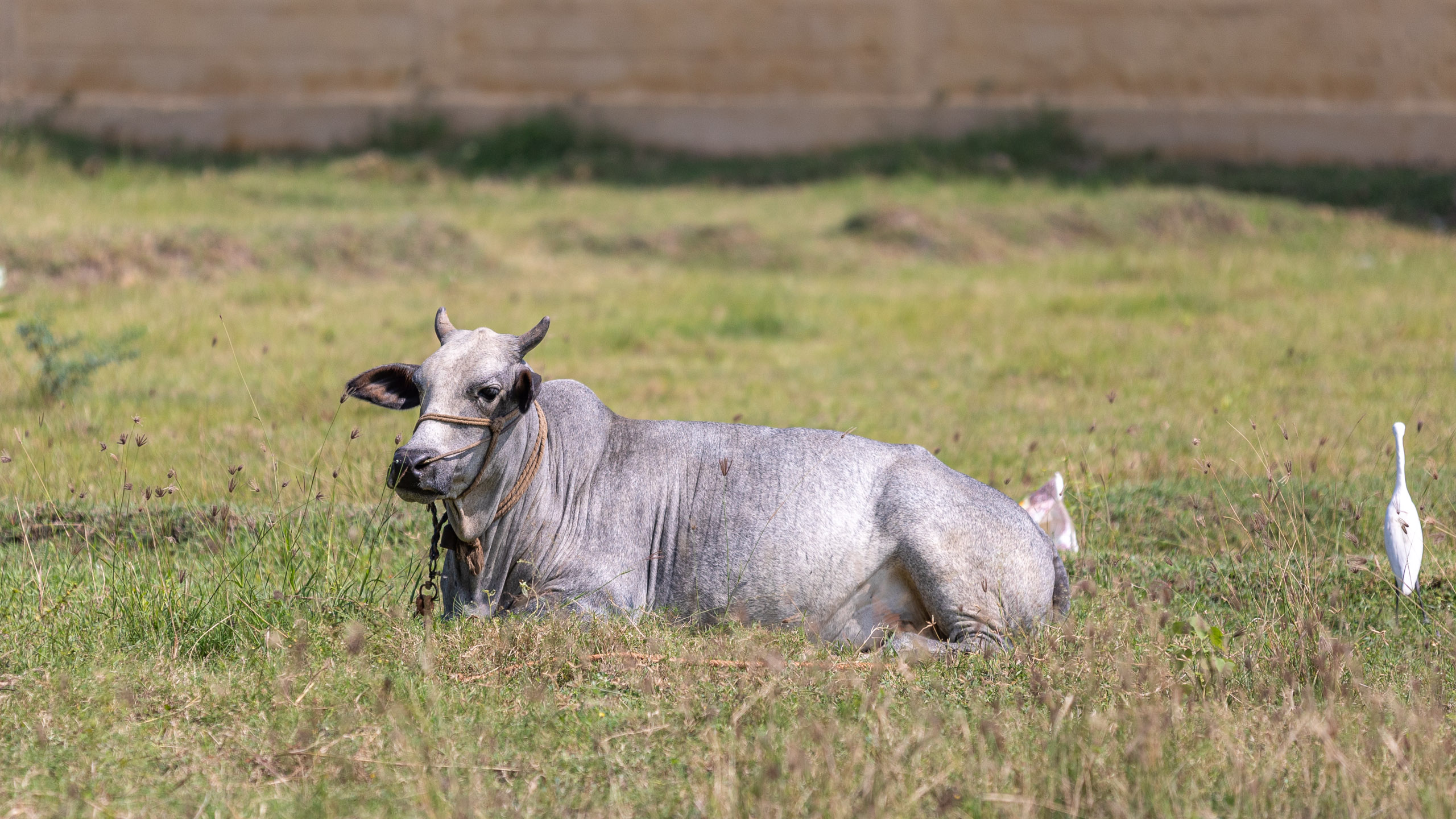 20231226113741 RD4 5760