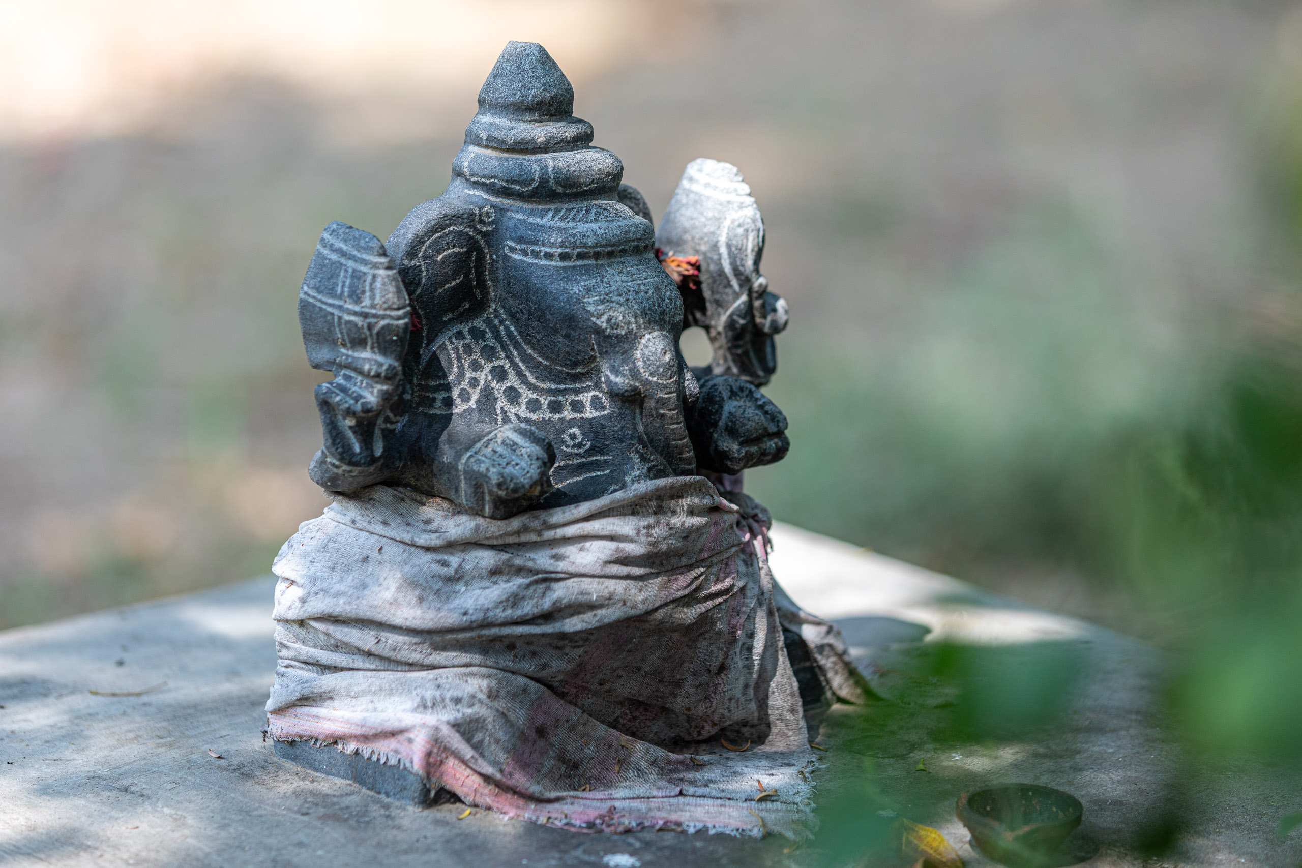 20231226113902 RD4 5762