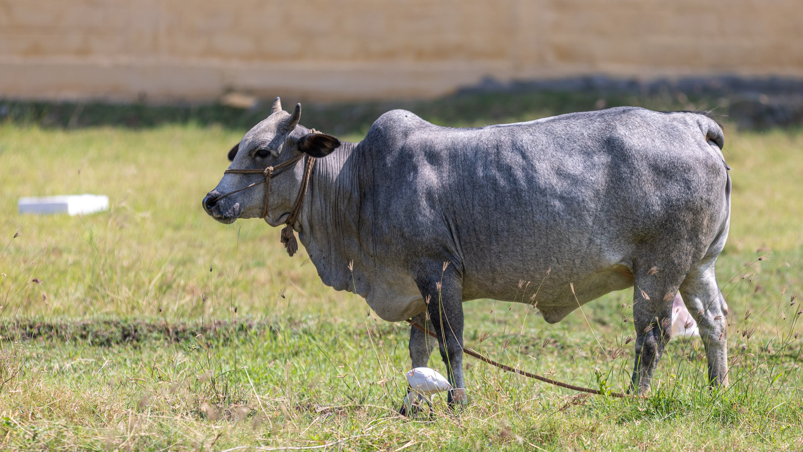 20231226114016 RD4 5771