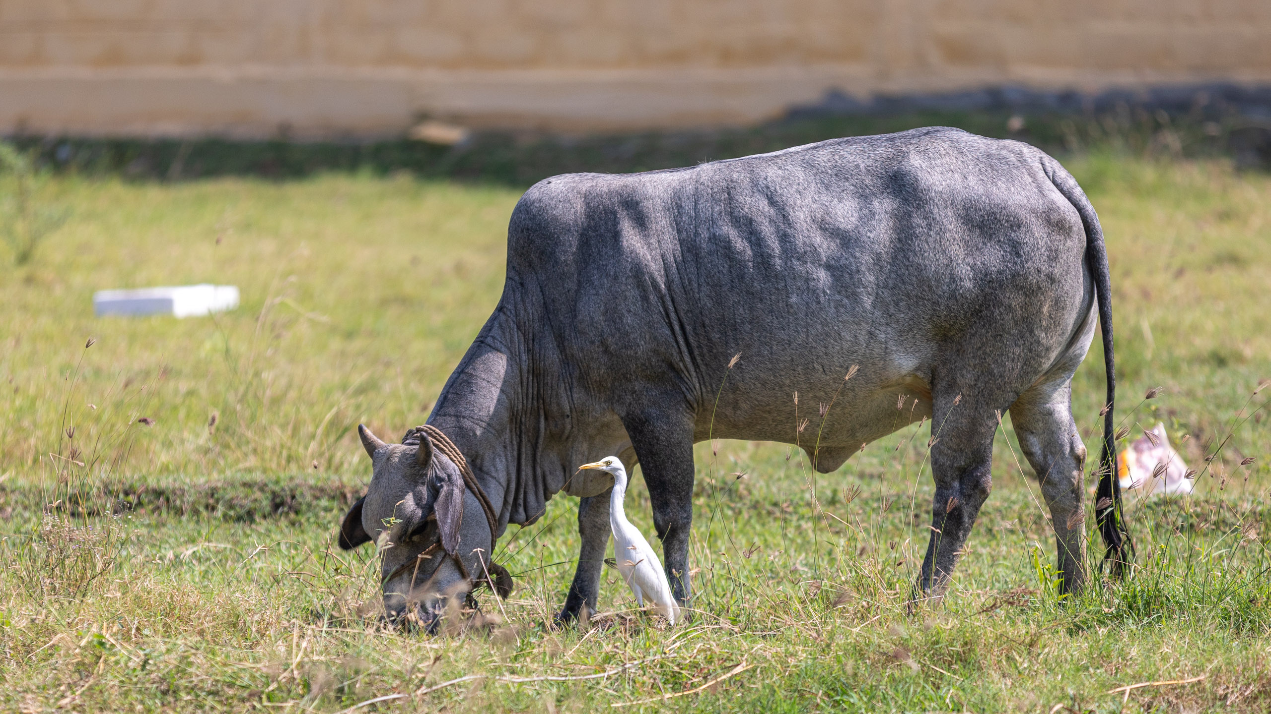 20231226114101 RD4 5780