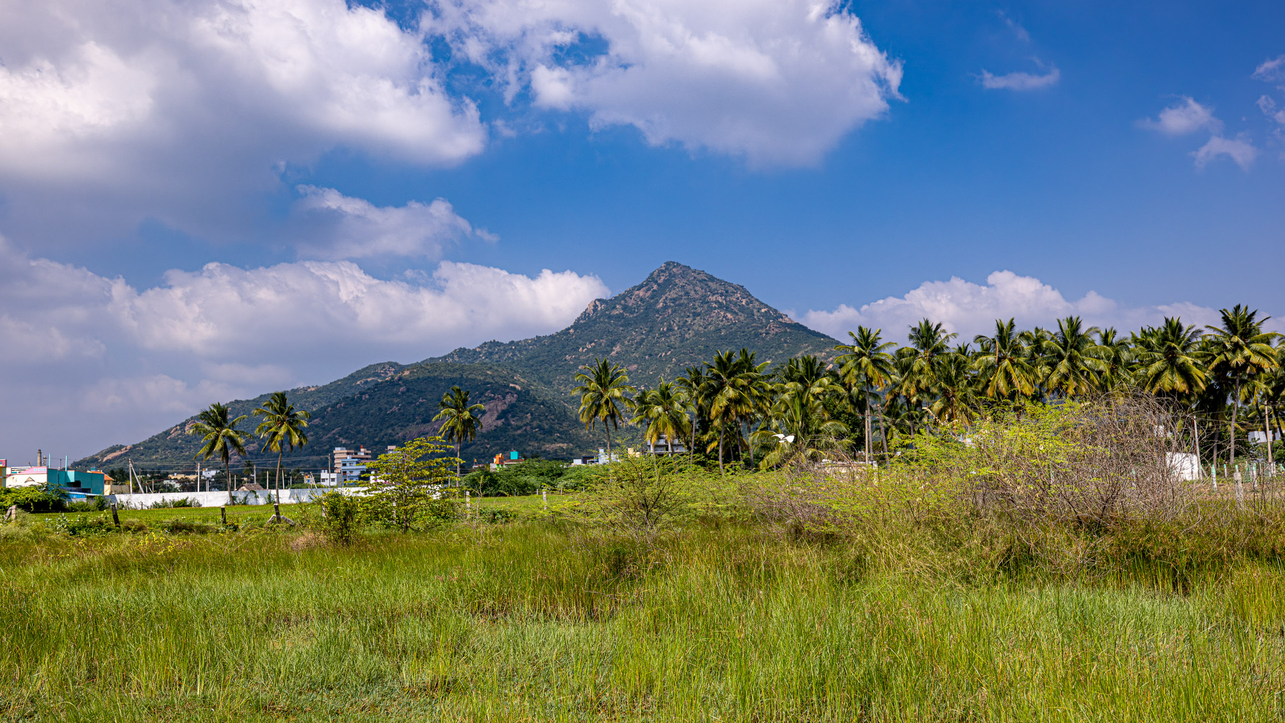 20231226133953 R5D 8379 e