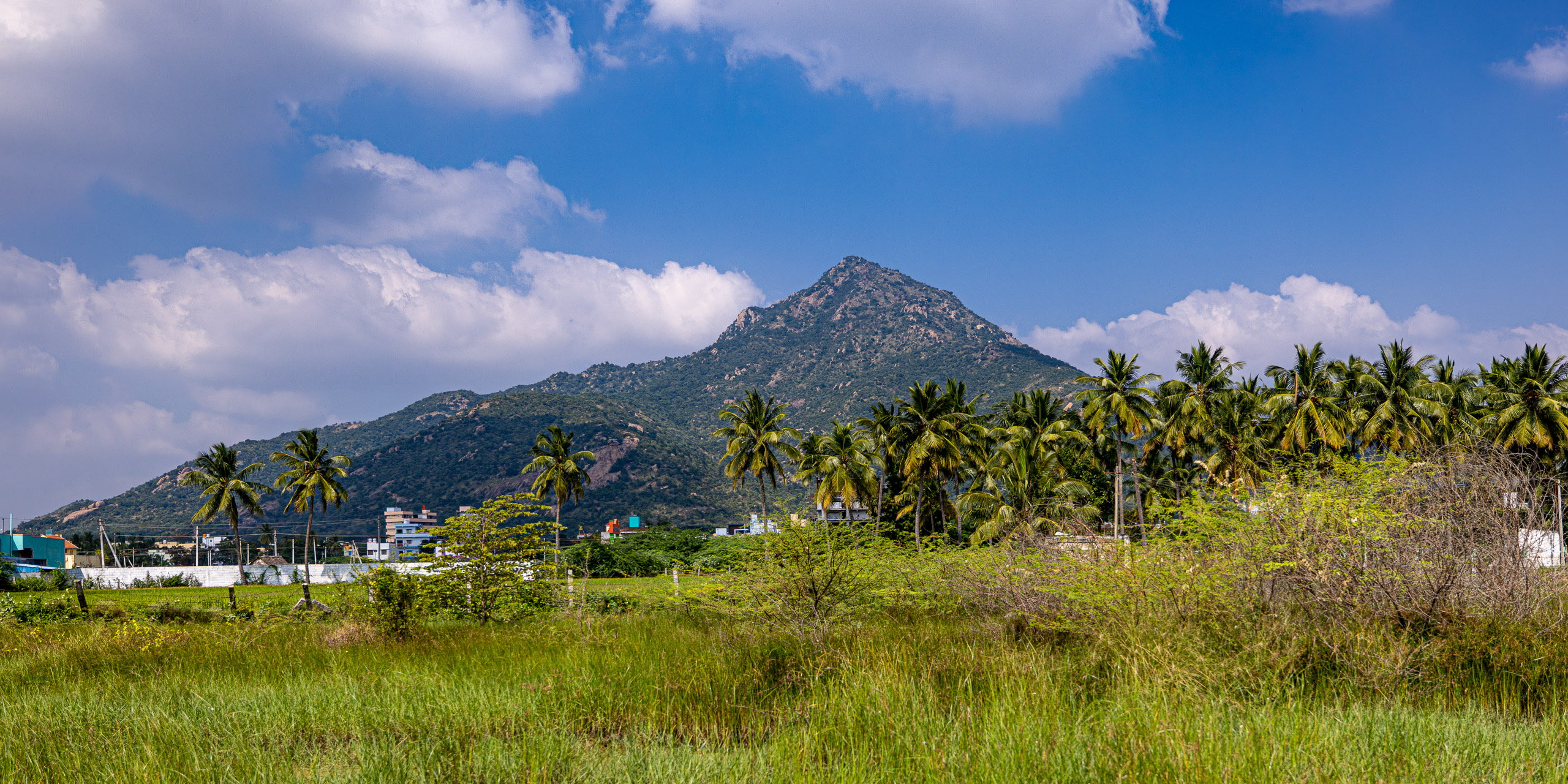 20231226133958 R5D 8380 e