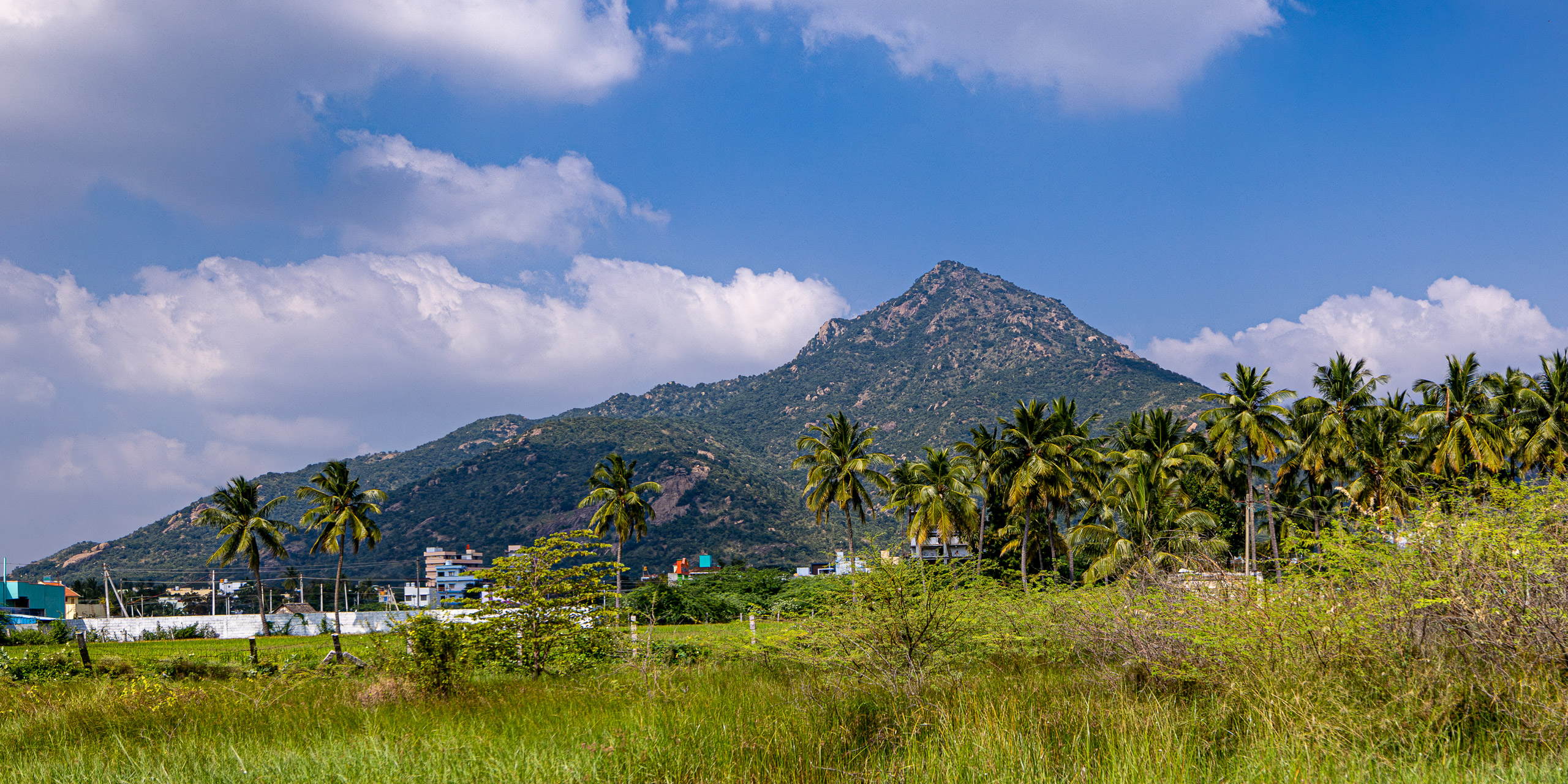 20231226133959 R5D 8382 e