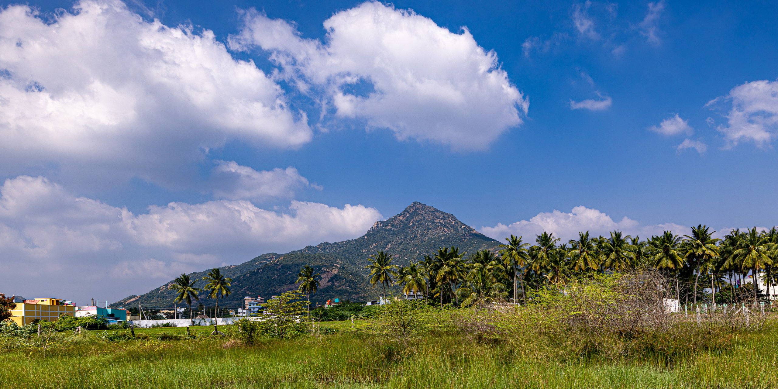 20231226134002 R5D 8388 e