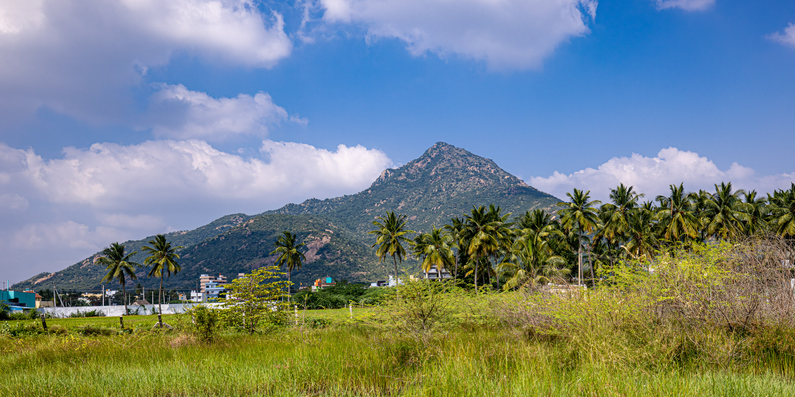 20231226134005 R5D 8392 e