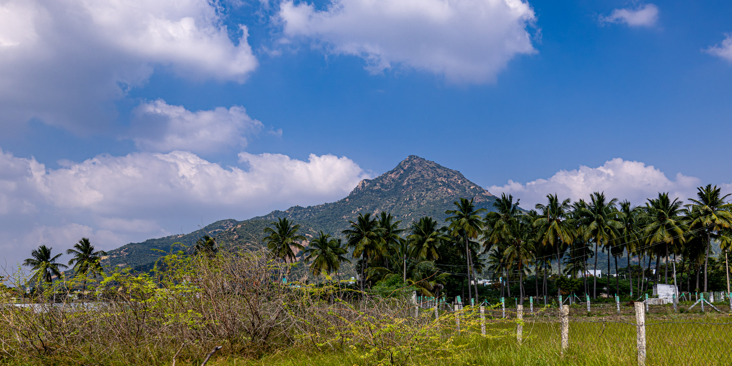 20231226134023 R5D 8399 e