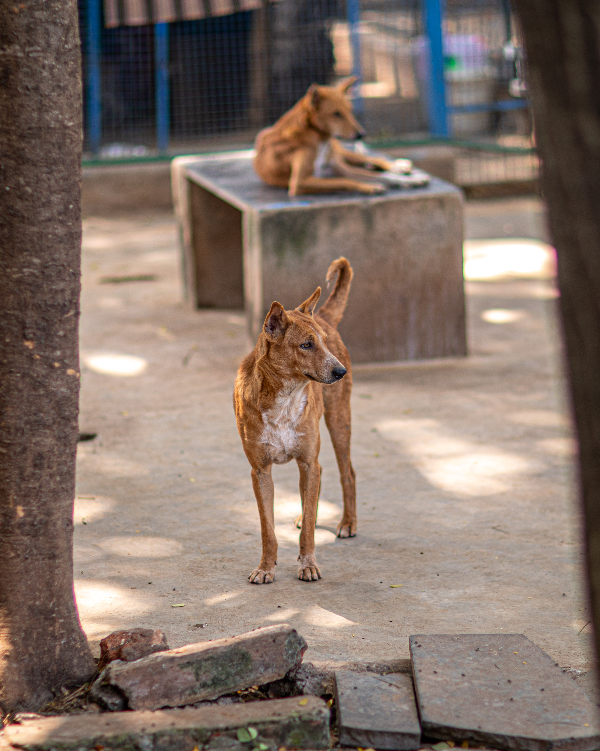 20240101113303 RD4 8611