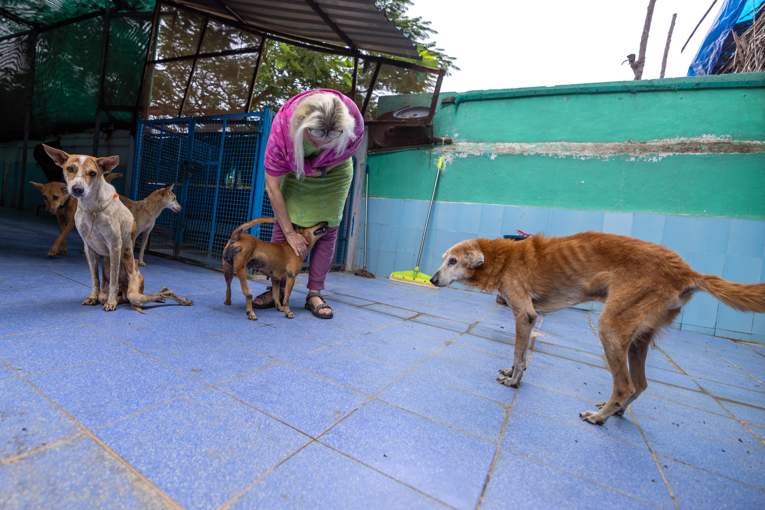 20240120161955 R5D 3674