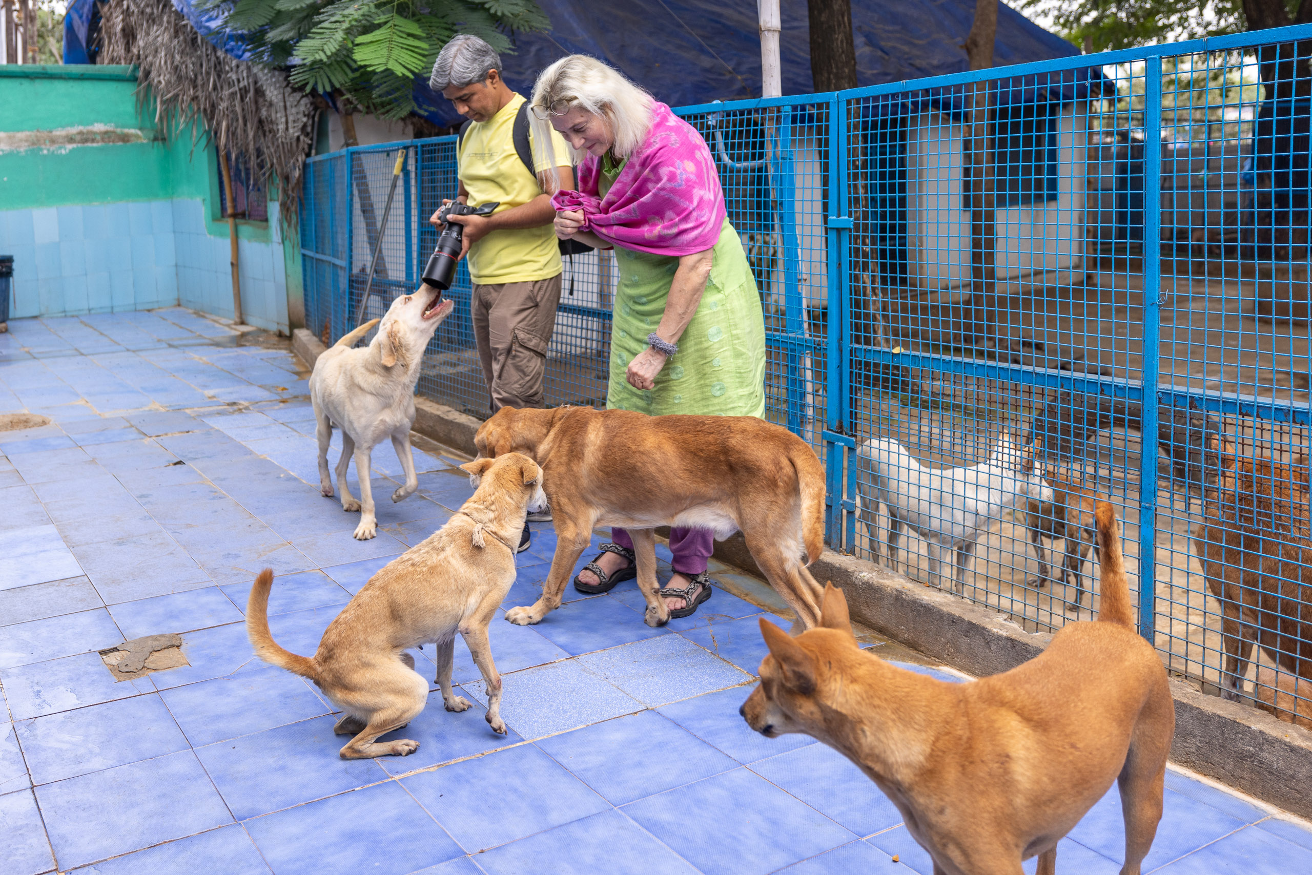 20240120162246 R5D 3703