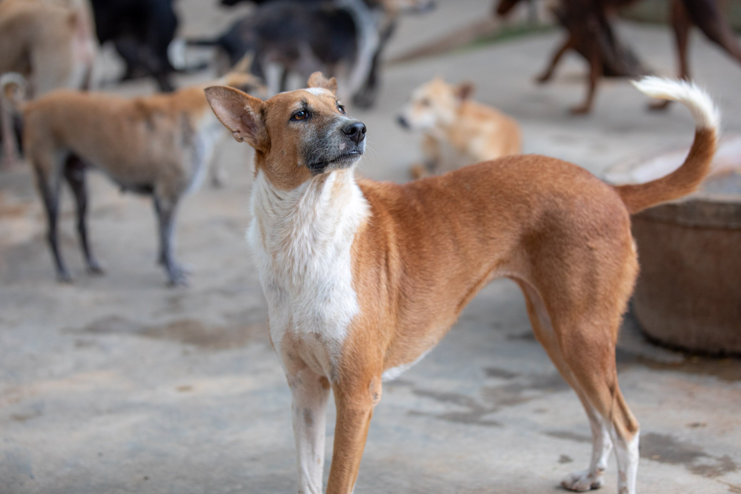 20240120163105 RD4 1487