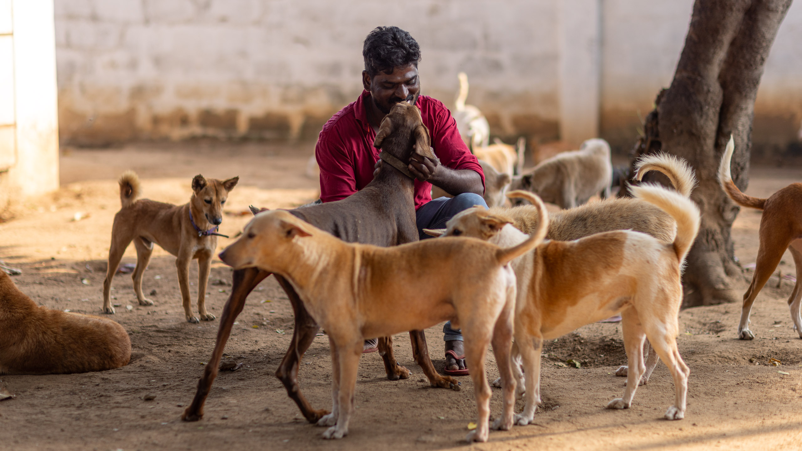 20240121161054 R5D 3924