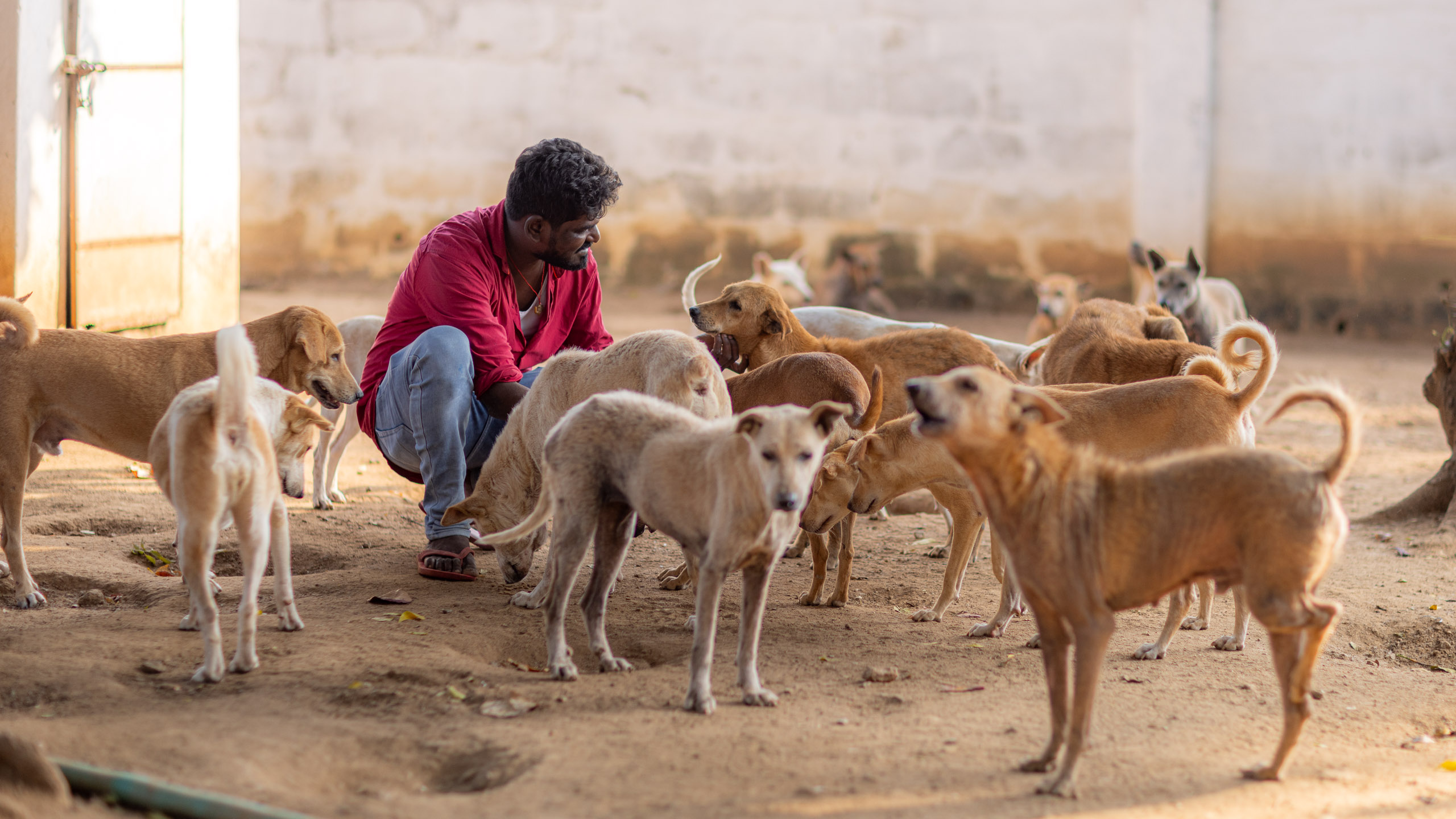 20240121161641 R5D 4102