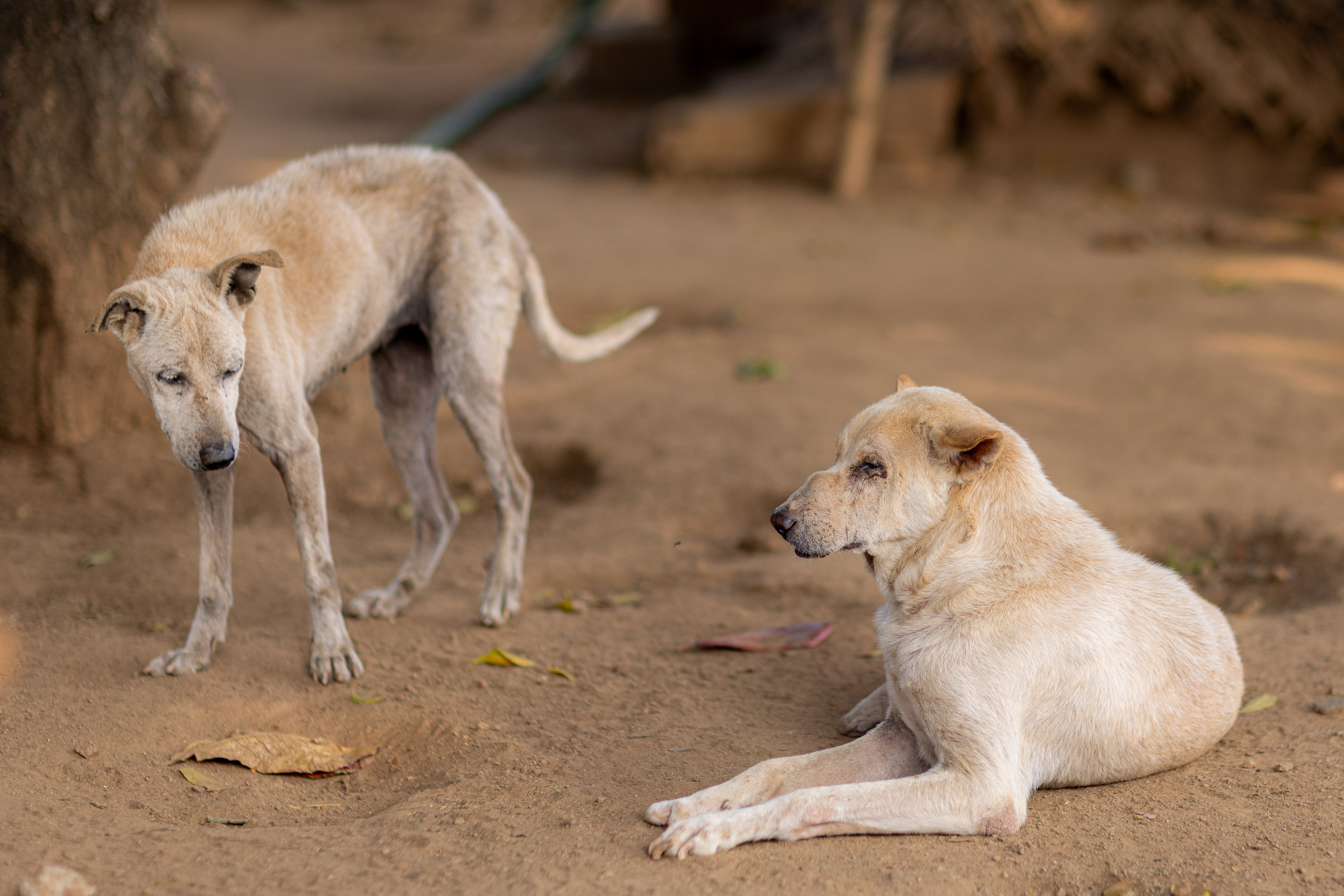 20240121162302 R5D 4364