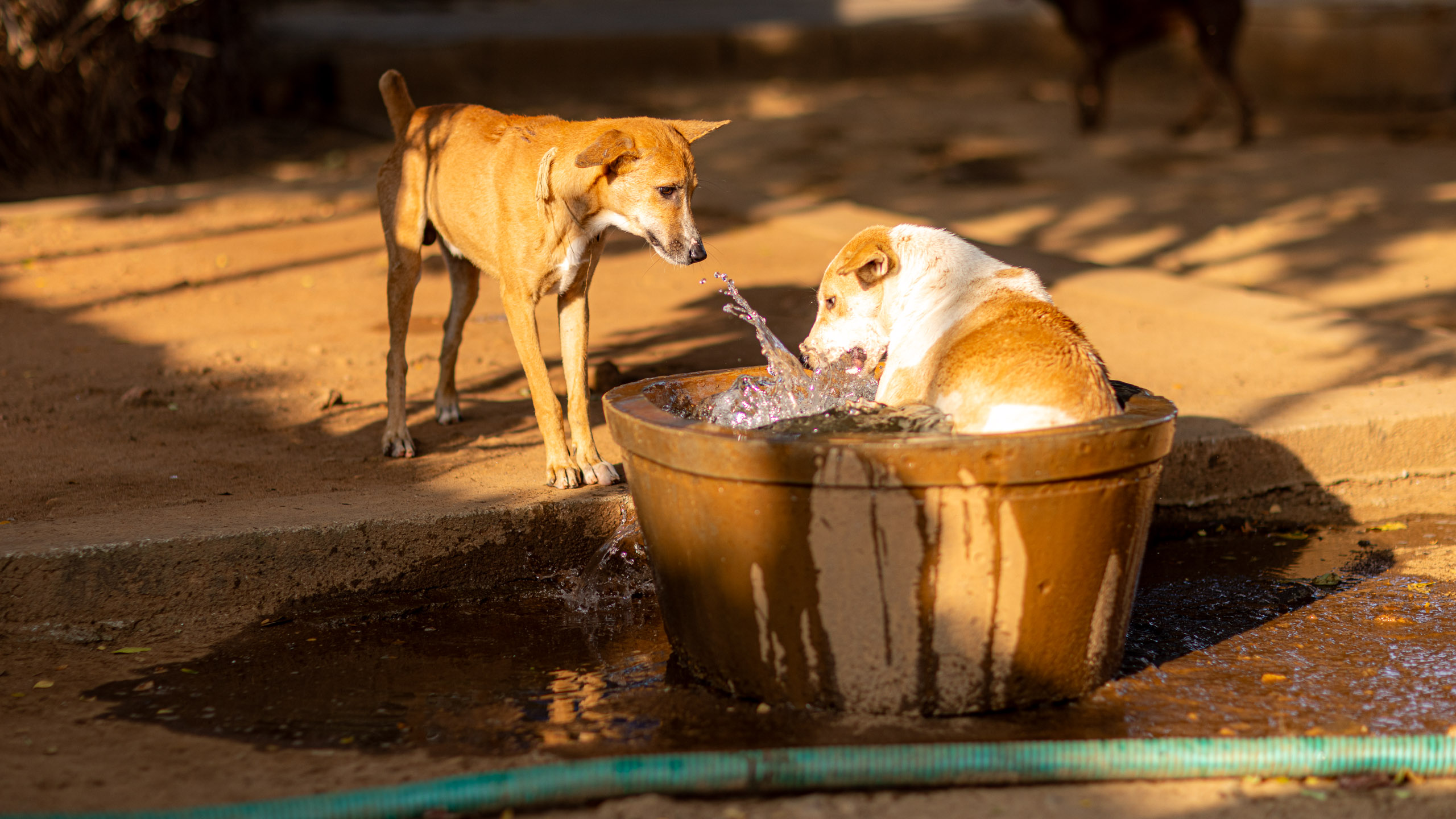 20240121162656 R5D 4465