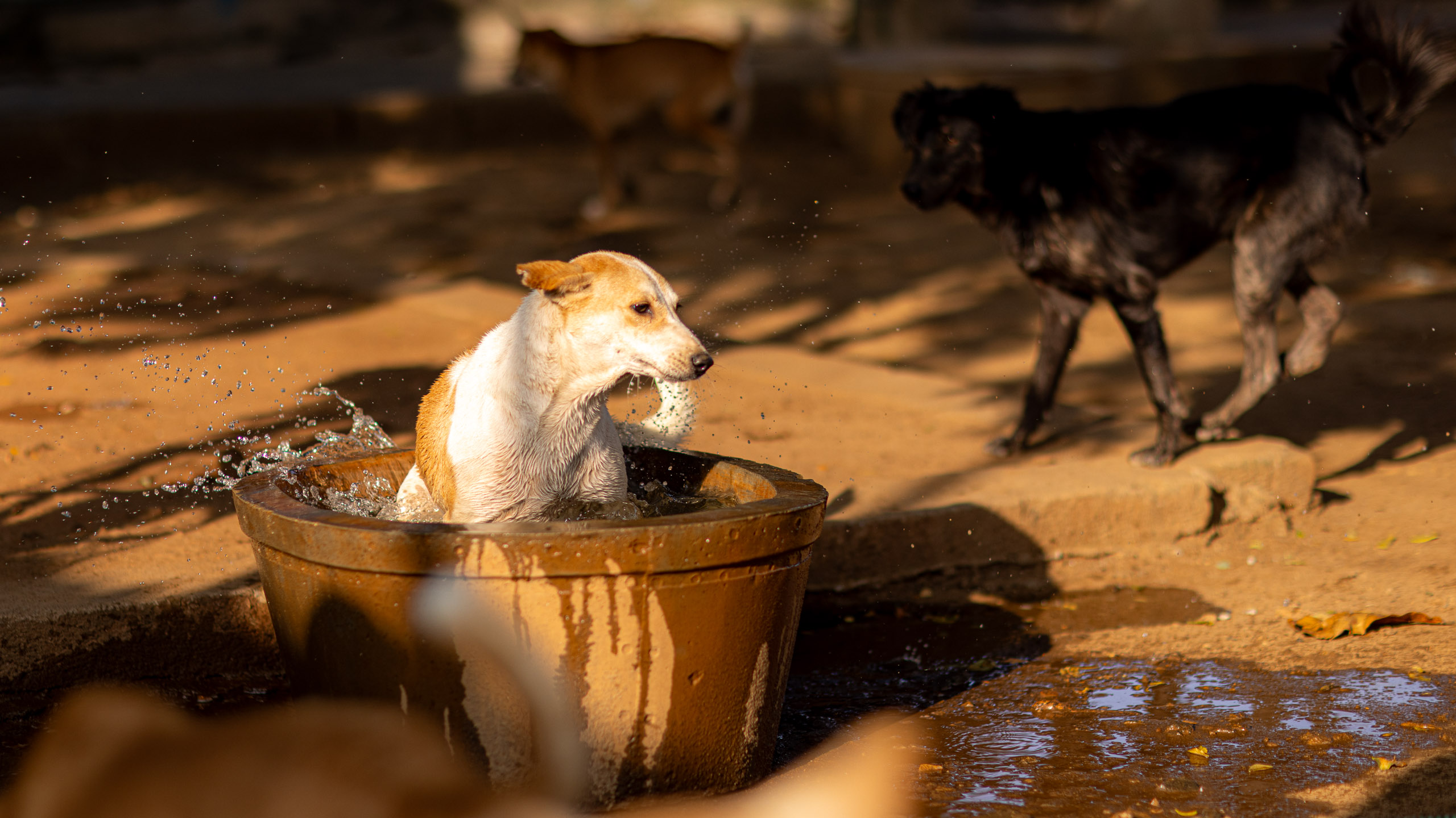 20240121162717 R5D 4479