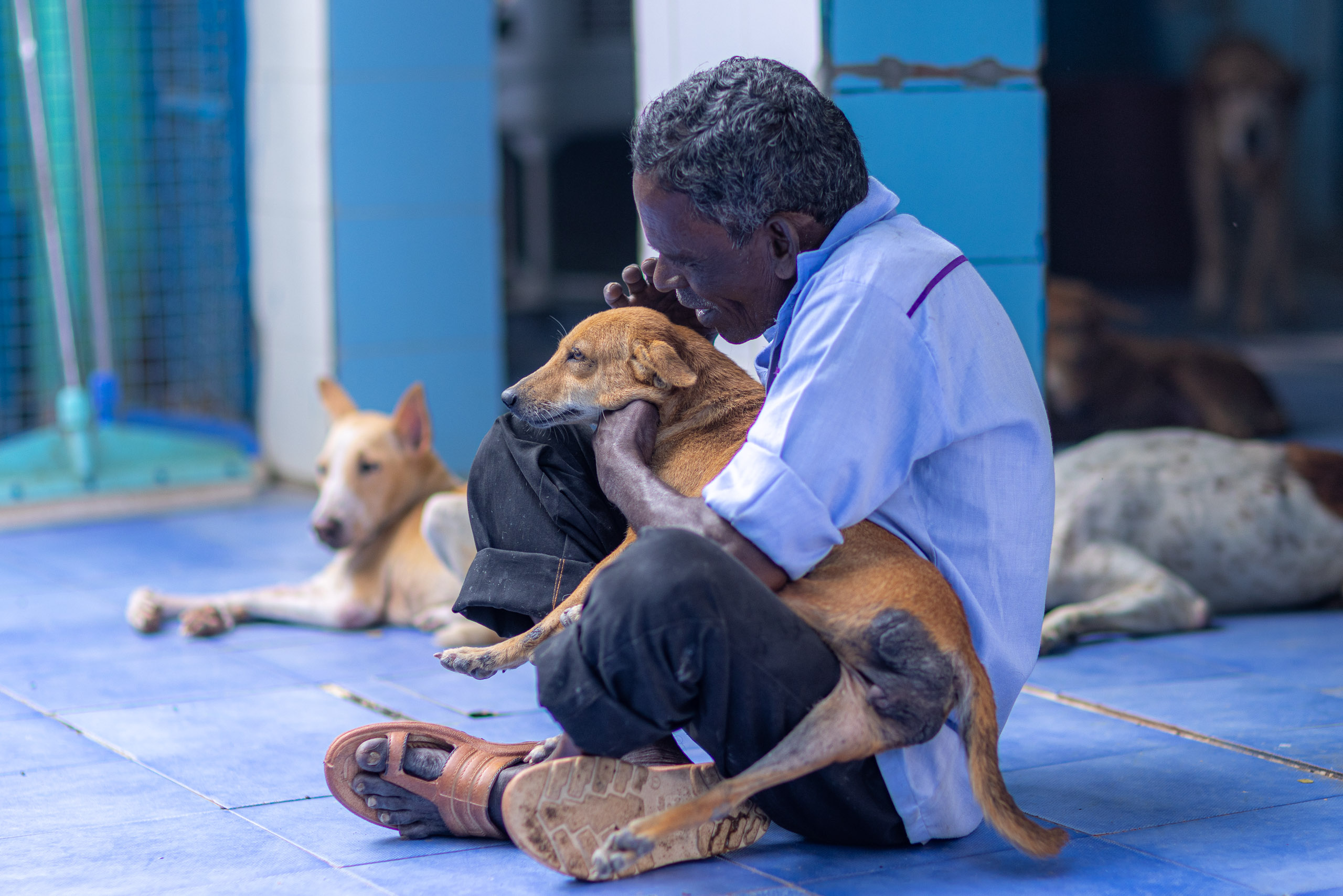 20240121163102 R5D 4515