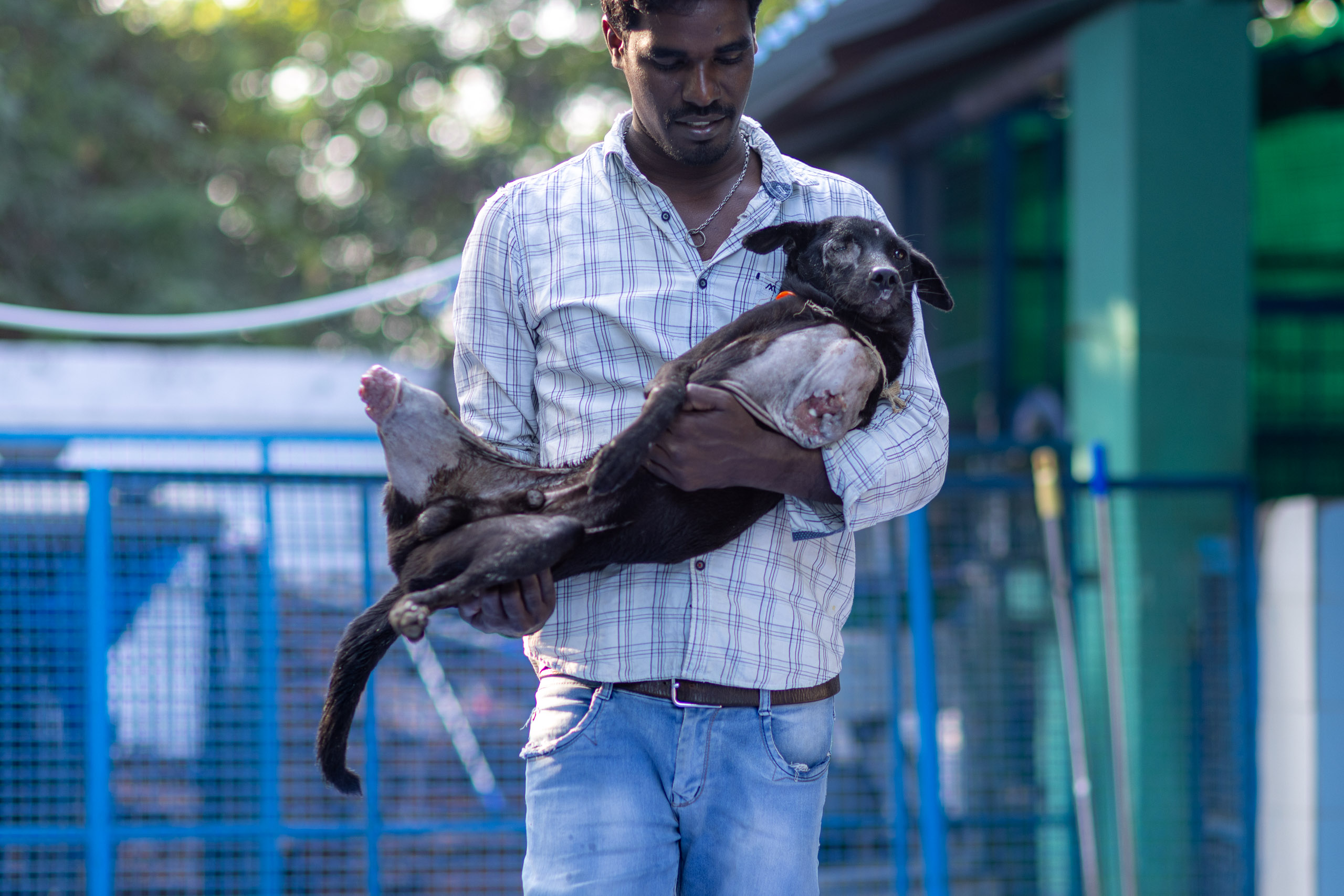 20240121164143 R5D 4718