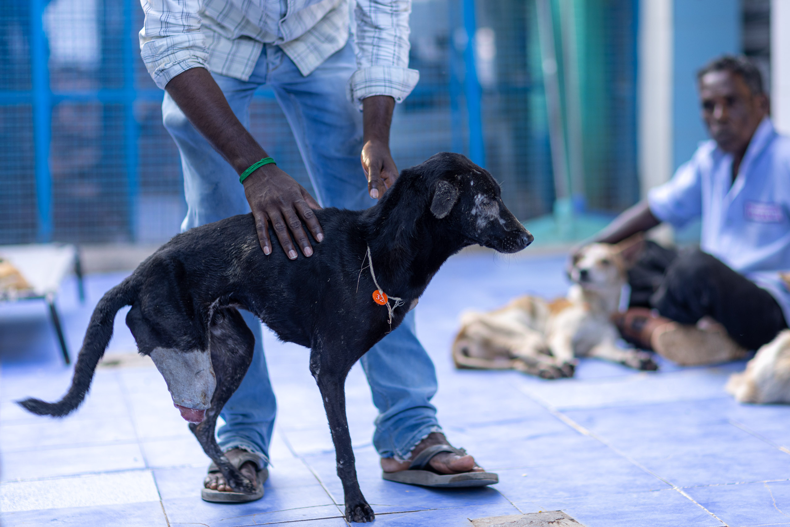 20240121164150 R5D 4720