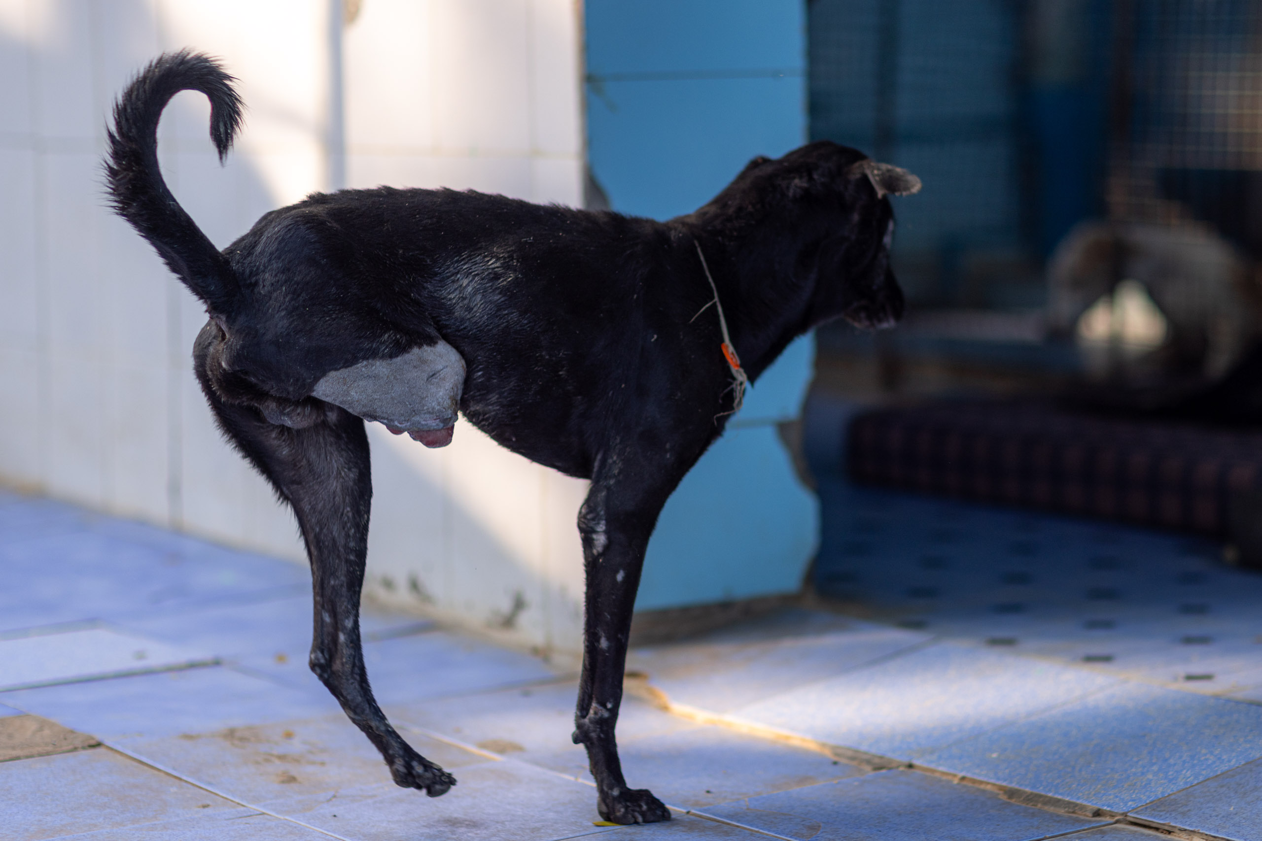 20240121164214 R5D 4735